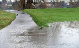Rheinhochwasser 2018