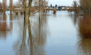 Rheinhochwasser 2018