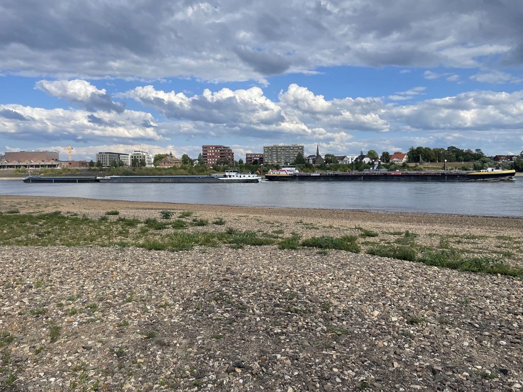 Rhein Dormagen Piwipp 5.08.2026